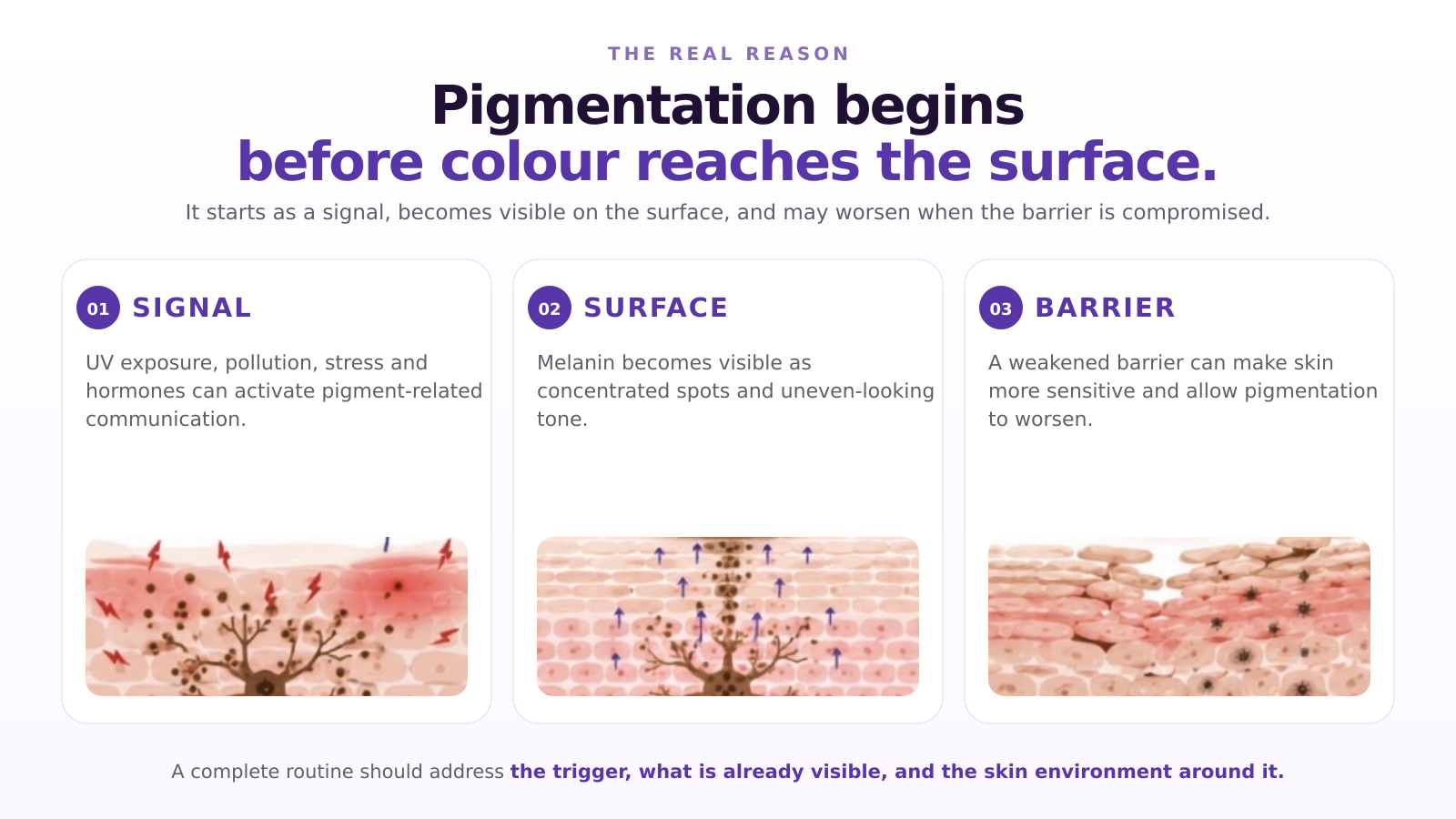 Pigmentation begins as a signal, becomes visible at the surface, and may worsen when the skin barrier is compromised